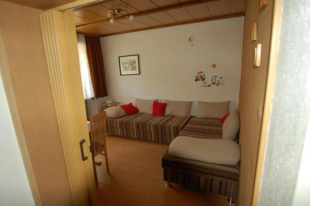 זאלבך הינטרגלם Apartment Alena - Include Jokercard 0*, זאלבך הינטרגלם אוסטריה