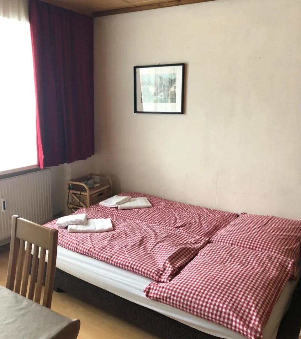 זאלבך הינטרגלם Apartment Alena - Include Jokercard  זאלבך הינטרגלם
